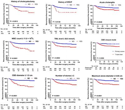 Recurrence of common bile duct stones after choledocholithotomy in elderly patients: risk factor analysis and clinical prediction model development